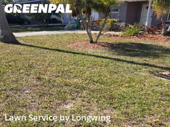 Grass Cutting nearby Clearwater, FL, 