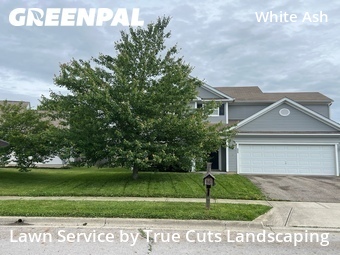 Lawn Care Service nearby Canal Winchester, OH, 