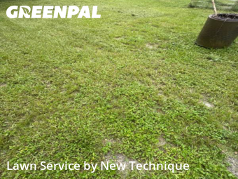 Lawn Care nearby Apopka, FL, 