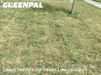 Lawn Maintenance nearby Wylie, TX, 