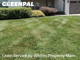 Lawn Care nearby Knoxville, TN, 