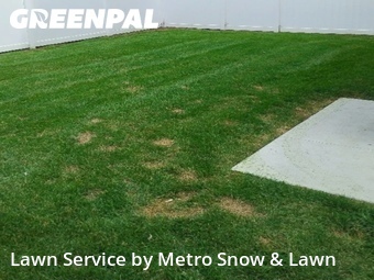 Lawn Mowing nearby St. Clair Shores, MI, 