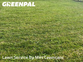 Grass Cut nearby Pittsburgh, PA, 