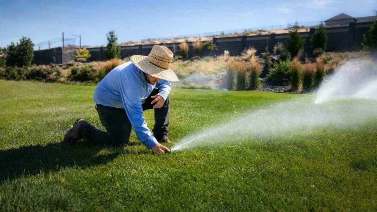 How to Water Your Lawn: Tips & Schedule By Greenpal