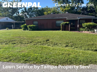 Lawn Cut nearby Tampa, FL, 