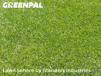 Lawn Care nearby Baton Rouge, LA, 