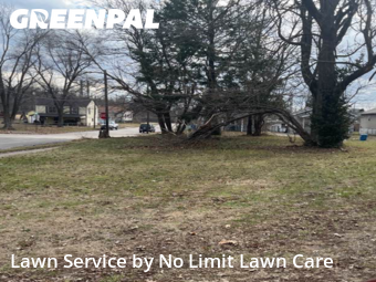 Lawn Mowing Service nearby Granite City, IL, 