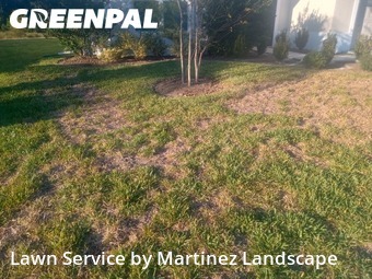 Turf Services in The Villages, 34762, Yard Services by Martinez Landscape, work completed in Dec , 2025