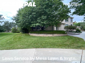 Lawn Mowing nearby Denver, CO, 