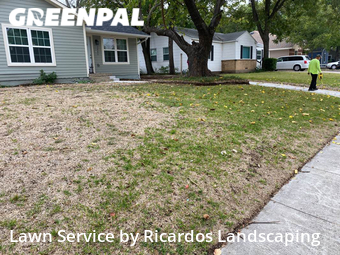 Lawn Mow nearby Irving, TX, 