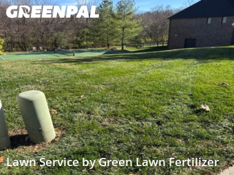 Yard Maintenance in Springfield, 65810, Yard Upkeep by Green Lawn Fertilizer, work completed in Nov , 2025