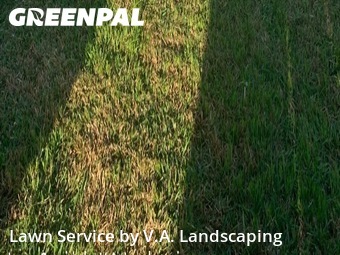 Lawn Mowin Conroe,77385,Lawn Cutting by V.A. Landscaping, work completed in Feb , 2026