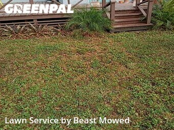 Lawn Care Service nearby Tampa, FL, 