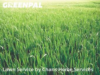 Lawn mowed in Doylestown, 44230