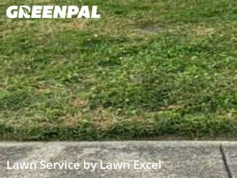 Lawn Service nearby Indianapolis, IN, 