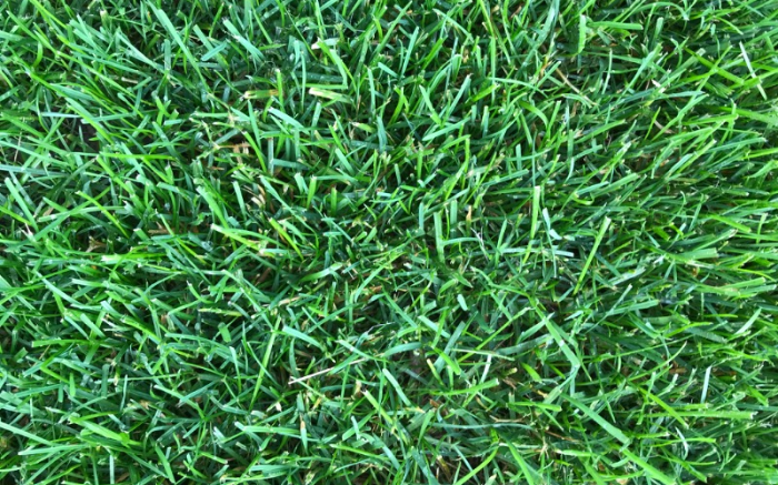 Work Image 3