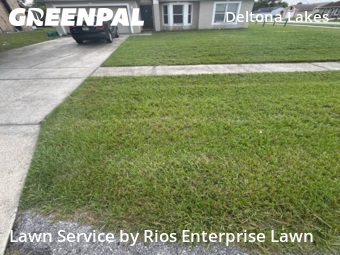 Lawn Cut nearby Deltona, FL, 