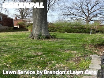 Lawn Mowing nearby Affton, MO, 