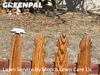 Lawn Cut nearby Sacramento, CA, 