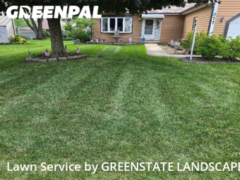 Grass Cut nearby Carol Stream, IL, 