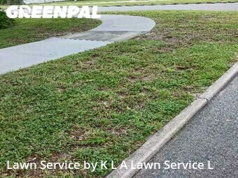 Grass Cutting nearby St. Petersburg, FL, 