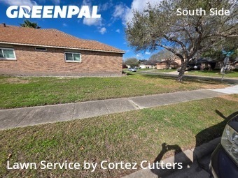 Grass Cut nearby Corpus Christi, TX, 