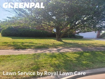 Grass Cutting nearby Springfield, MO, 