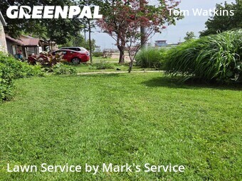 Grass Cut nearby Springfield, MO, 