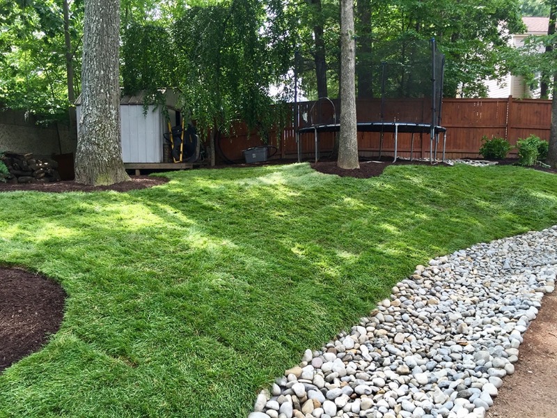 Seans Landscaping Lawn Care Services in Bossier City, LA