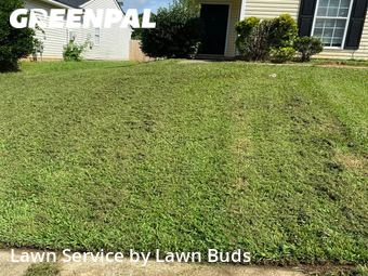 Lawn Service nearby Charlotte, NC, 