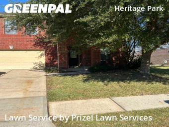 Lawn Carein Friendswood,77546,Yard Cutting by Prizel Lawn Services, work completed in Nov , 2025