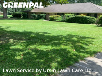 Lawn Mow nearby Central, LA, 