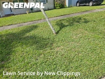 Yard Mowing nearby Largo, FL, 