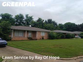 Grass Cutting nearby Tuscaloosa, AL, 