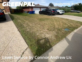 Work completed by grass-care-professionals-in-Lakewood-CA