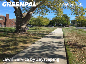 Yard Upkeep in Detroit, 48204, Grass Care by Zayscaping, work completed in Nov , 2025