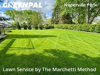 Lawn Service nearby Naperville, IL, 