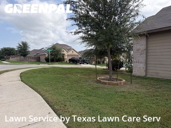 Grass Cut nearby New Braunfels, TX, 