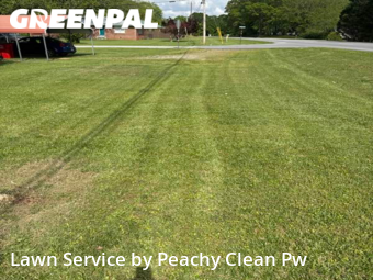Grass Cut nearby Bowdon, GA, 