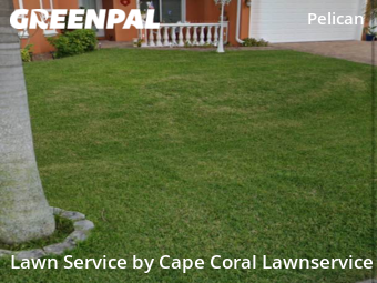 Grass Cut nearby Cape Coral, FL, 