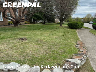 Grass Cutting nearby Franklin, TN, 