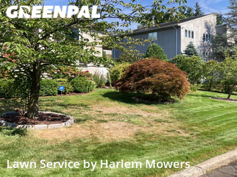 Mowing Services in New Rochelle, 10804, Weekly Mowing by Harlem Mowers, work completed in Dec , 2025