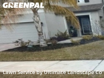 Lawn Mow nearby Wimauma, FL, 