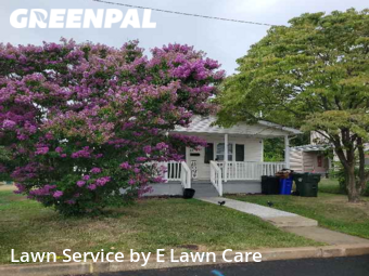 Grass Cut nearby Hagerstown, MD, 