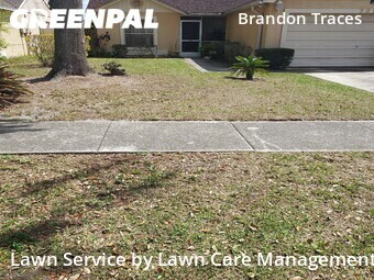 Lawn Care Service nearby Brandon, FL, 