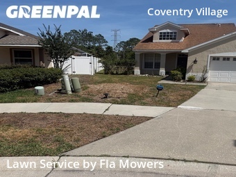 Yard Mowing nearby Palm Harbor, FL, 