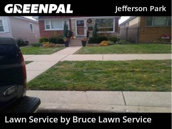 Yard Cutting nearby Chicago, IL, 