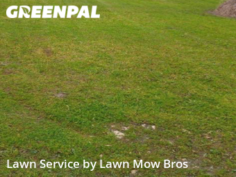 Lawn Cutting nearby Fort Worth, TX, 