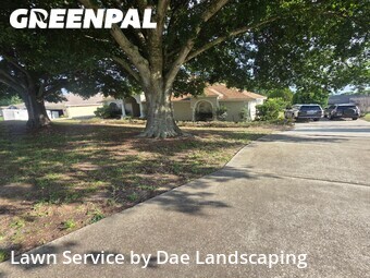 Lawn Cuttingin Clermont,34711,Lawn Cut by Dae Landscaping, work completed in Jun , 2026