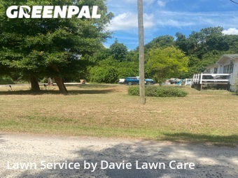 Yard Cutting nearby Lady Lake, FL, 